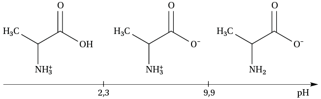 063d12d6-a92a-4543-b15d-fec83f7f2416