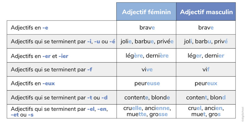 Les accords de l'adjectif qualificatif - digiSchool