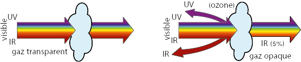 19198cfe-ca18-4c52-b462-04d32151f796