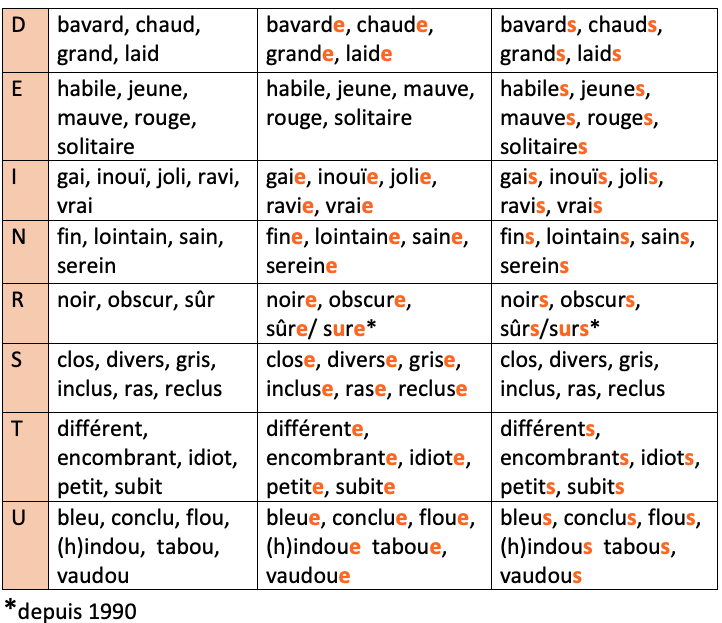 L'accord des adjectifs réguliers - digiSchool