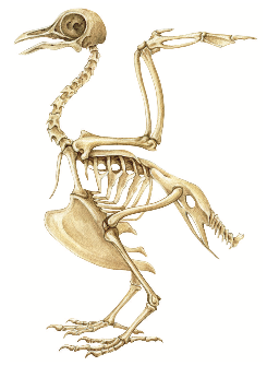 23685499-48d8-4b9b-af36-49a7f74fa5c2