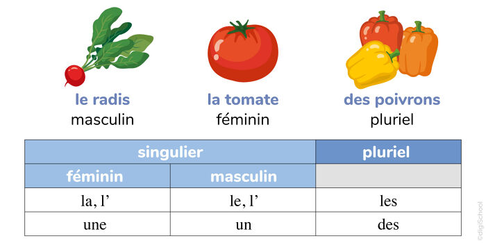 26c201f0-dc59-4222-becb-1e42f122ef97_w700h400