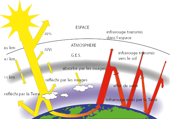 2a8dc70e-1cdf-4e73-8c10-544a36330624