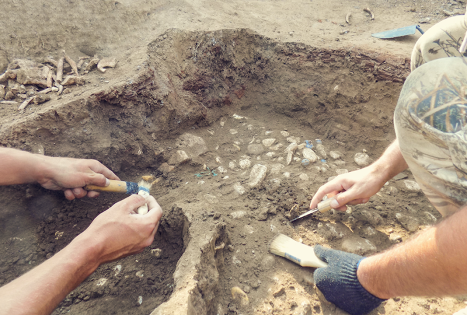 3841a6bc-561b-4989-b3be-0fe024e91011_w479h315