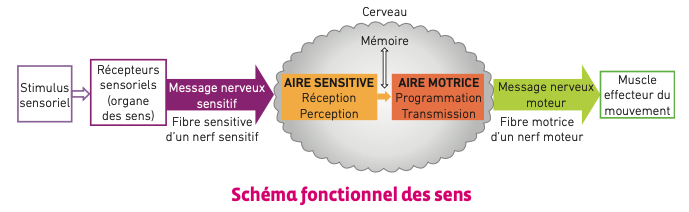 47fda67b-86ec-49e7-821e-bf8eeb7ee6df