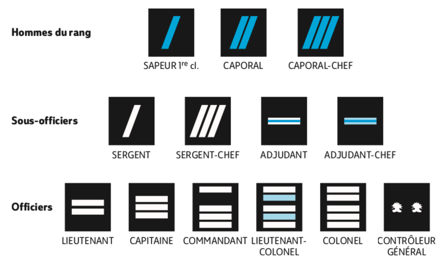 51dfc017-6cea-4e9d-836d-2d4e292e09b9