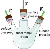 5e95b671-ca12-430e-b0f4-fbbe0ebc1e12