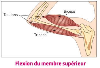 60fbafec-7213-44d5-936c-a5af8af6f1bd