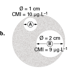 PB_Bac_05222_SVT1_TT_p209-238_C09_Groupe_Schema_1