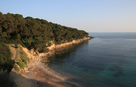 76645d12-63e9-4ff0-b898-de0151ec2073_w666h415