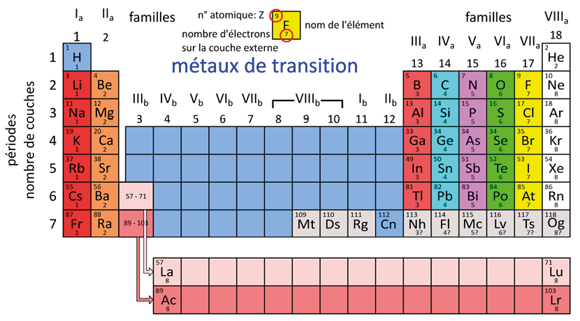 Le modèle complet de l'échelle