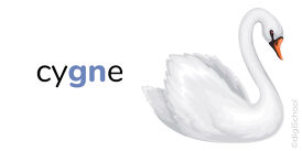 7ce66b1f-41e5-4a79-bfef-122650a509f8_w313h175