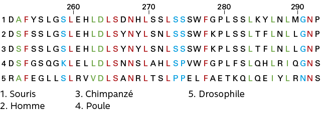 PB_Bac_05222_SVT1_TT_p239-266_C10_Groupe_Schema_0