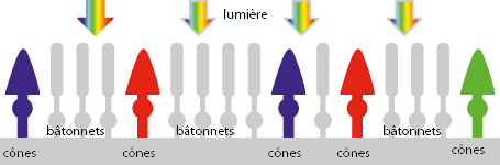 838150f9-5b34-4a3b-a8ed-bf7b36525b52