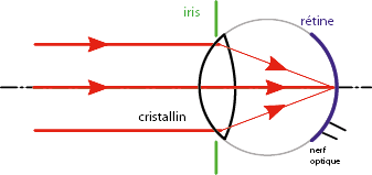 83965062-4282-489c-b9b3-611681989a7a