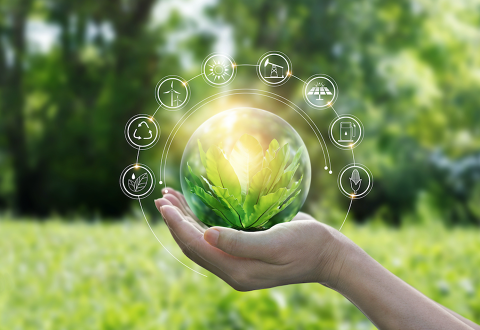 86fbffa7-1e27-4aeb-b4c7-ce9fdd664795_w480h437