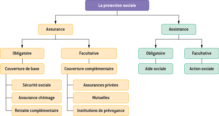 L'organisation générale du système de protection sociale - digiSchool