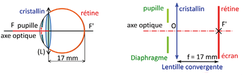 8fc84be7-4255-4ce8-94a9-4ffef64f46e8