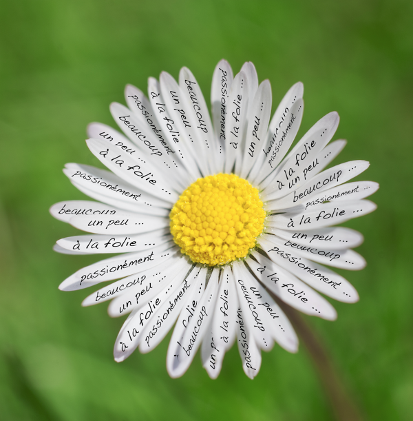 a79267be-0a34-49ac-8628-74d948de1514_w600h701