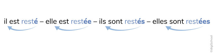 b17c7ddd-896b-46df-bf3e-dab8a9c2c4b2_w739h274