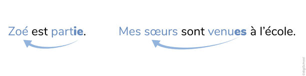 b3247ee4-7647-4379-b1c9-4034df1c9d31_w738h153