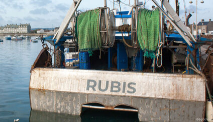 b8a5b5bb-27b6-470b-8a12-fc2af06c4496