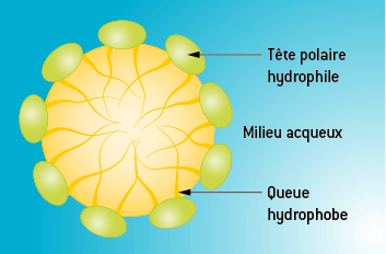 b8cc7987-0123-47fb-beb2-28a10b09c318