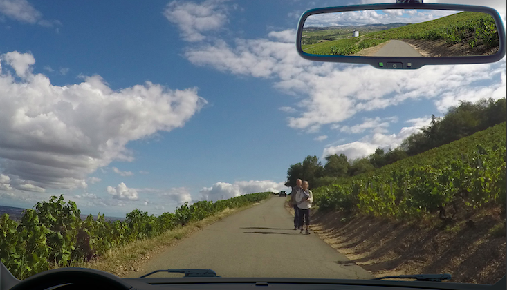 b952eeca-6e29-4235-a8d5-f1e47d3e36c8