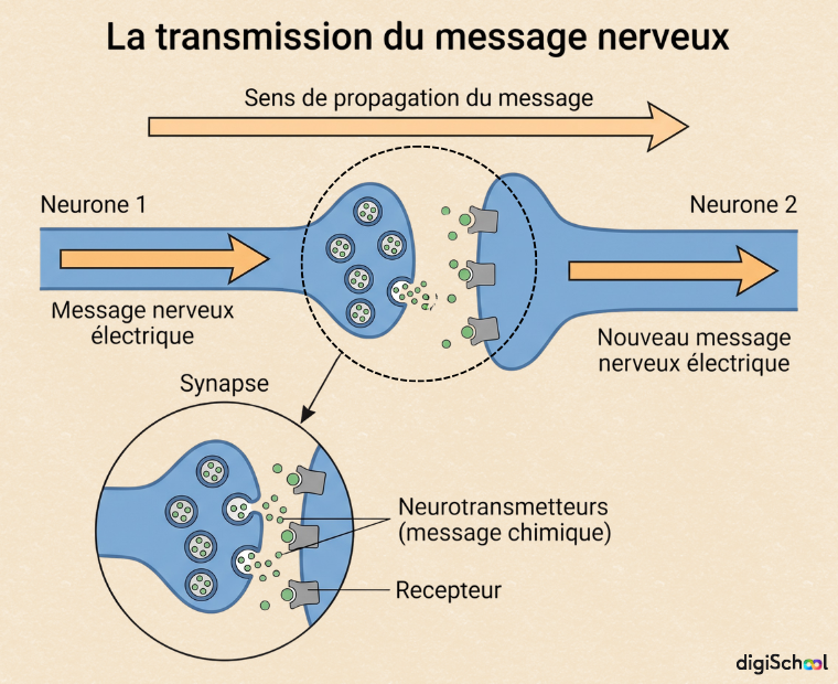 picture-in-text