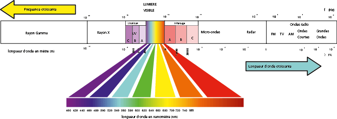 da1bfa10-c125-44db-926f-61164e274d1f