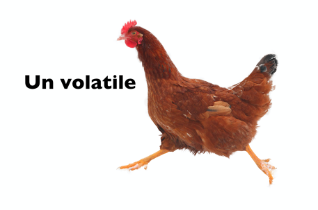 e34bc0d3-ec21-41cd-9f53-65940c1f349e_w457h609