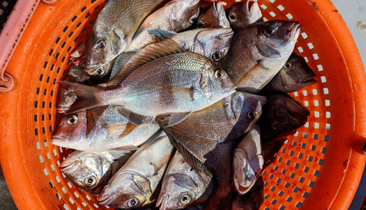 e36ceb0f-2163-4085-a275-22f9a700f696