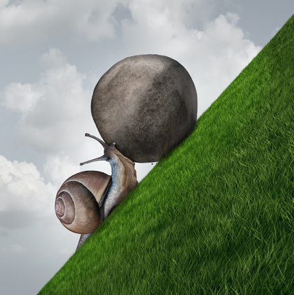 e90ae6c5-7d41-4342-8f8e-90f12ce7a3f7_w429h630