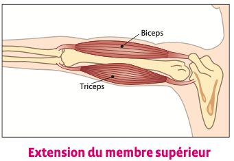 ec48a9ef-672e-44be-a282-641d0a037037