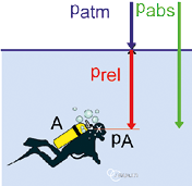 f04cf255-2a68-4baa-969c-c587aa5dafc0