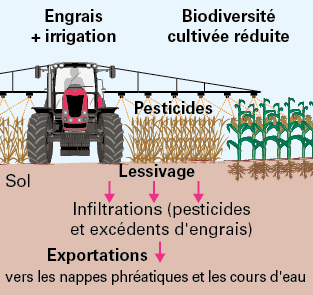 L'agriculture, la biomasse végétale et les sols - 2nde - Cours SVT -  Kartable